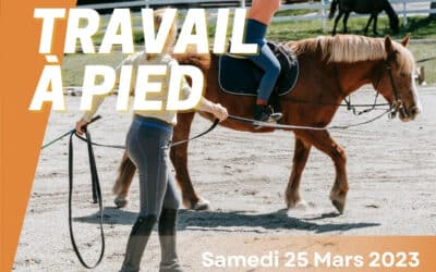 Travail à pied – samedi 25 Mars 2023