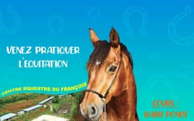 Pré Inscription Rentrée 2023