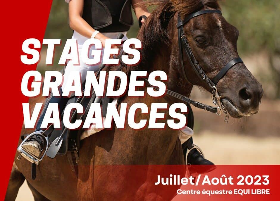 Stages tous niveaux – Grandes Vacances 2023