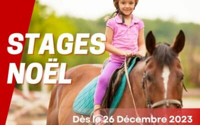 Stages tous niveaux – Vacances Noel 2023