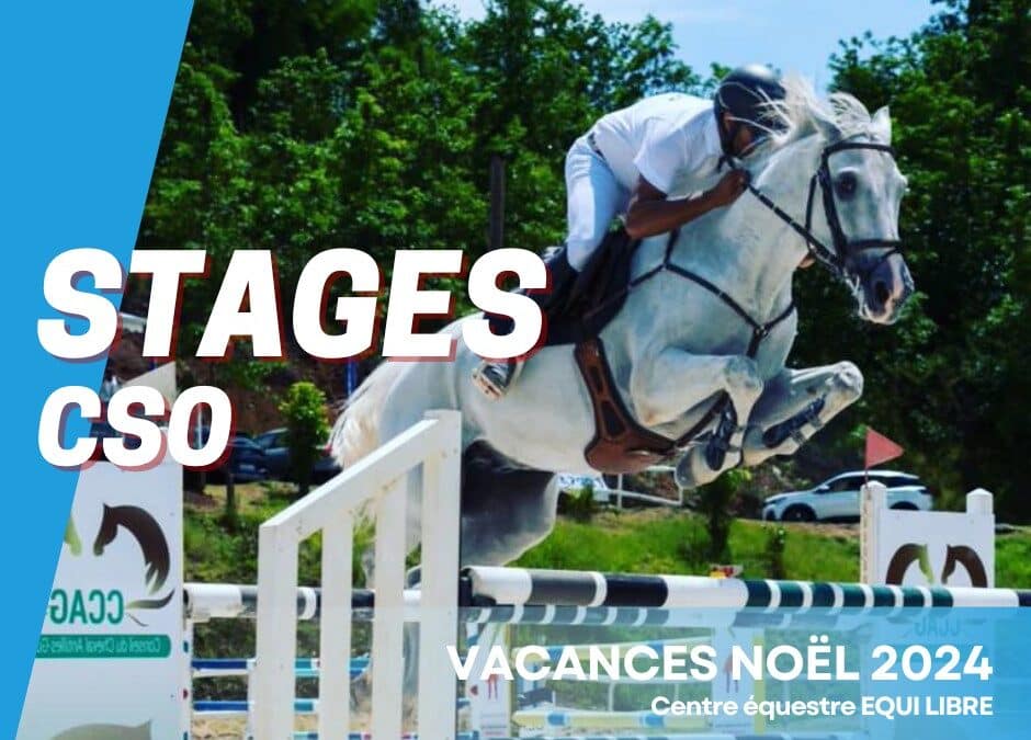 Stages tous niveaux – CSO Noel 2024