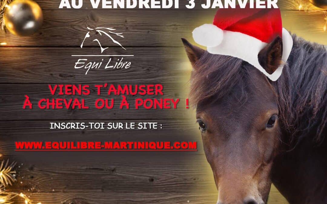 Stages tous niveaux – NOEL 2024