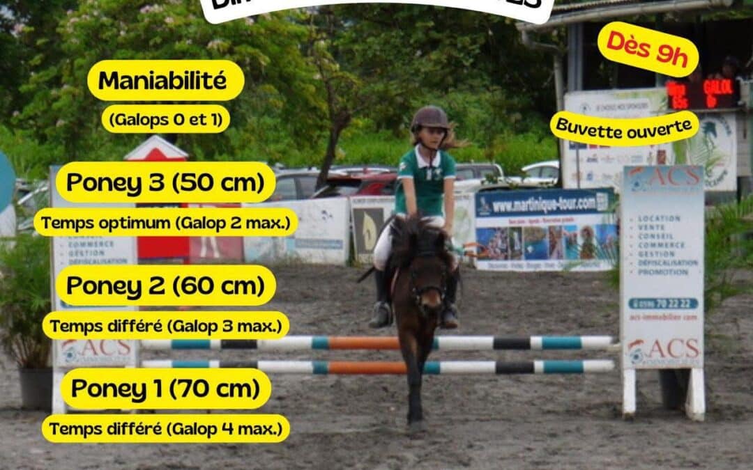 Pony Trophy 2