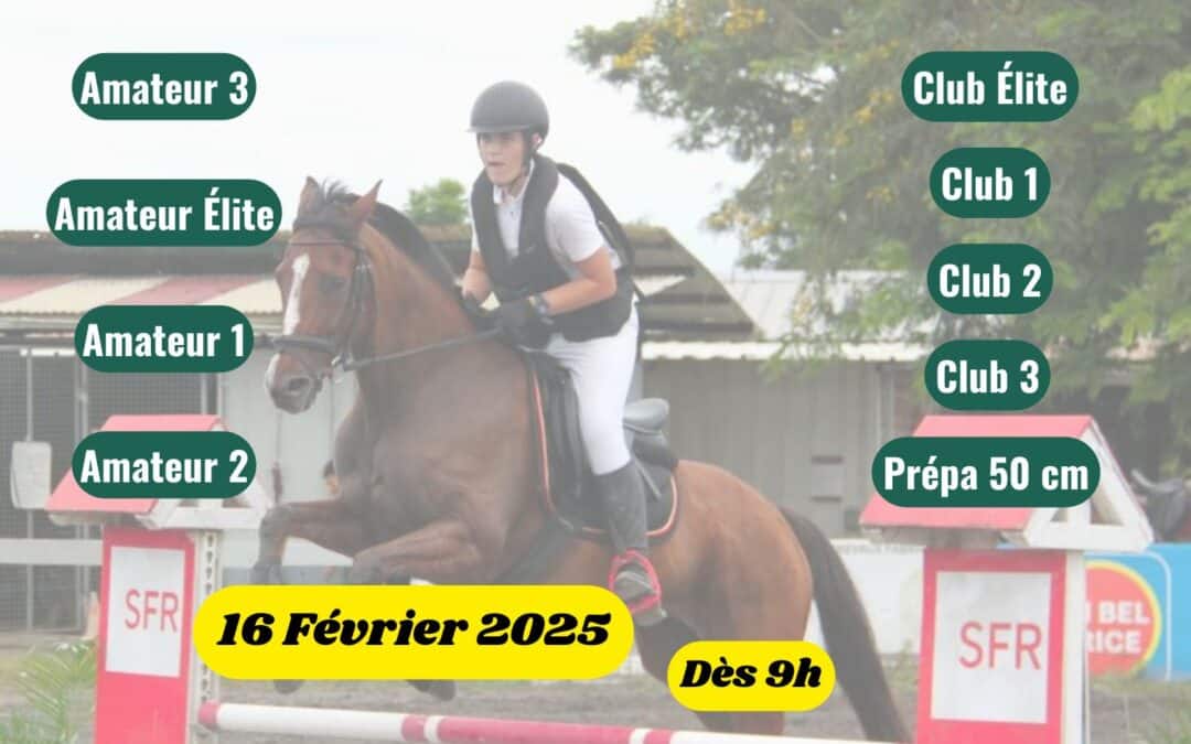 Hippocup 3 CSO à l’Hippocampe