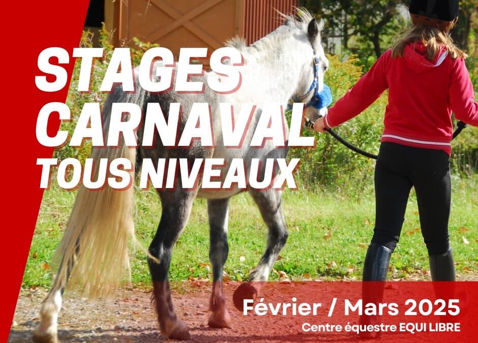 Stages tous niveaux – CARNAVAL 2025