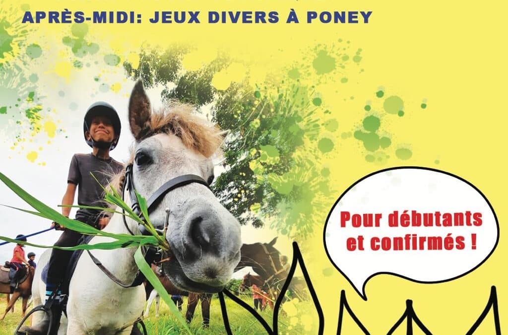 Stages tous niveaux – Vacances de Pâques 2025