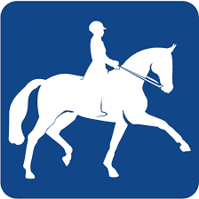 Dressage avec Nolwen – Vacances de Pâques 2025