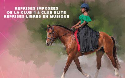 Finale Concours de Dressage