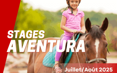 Stages Journée « AVENTURA » (Jeux d’aventure, escape games, etc.)