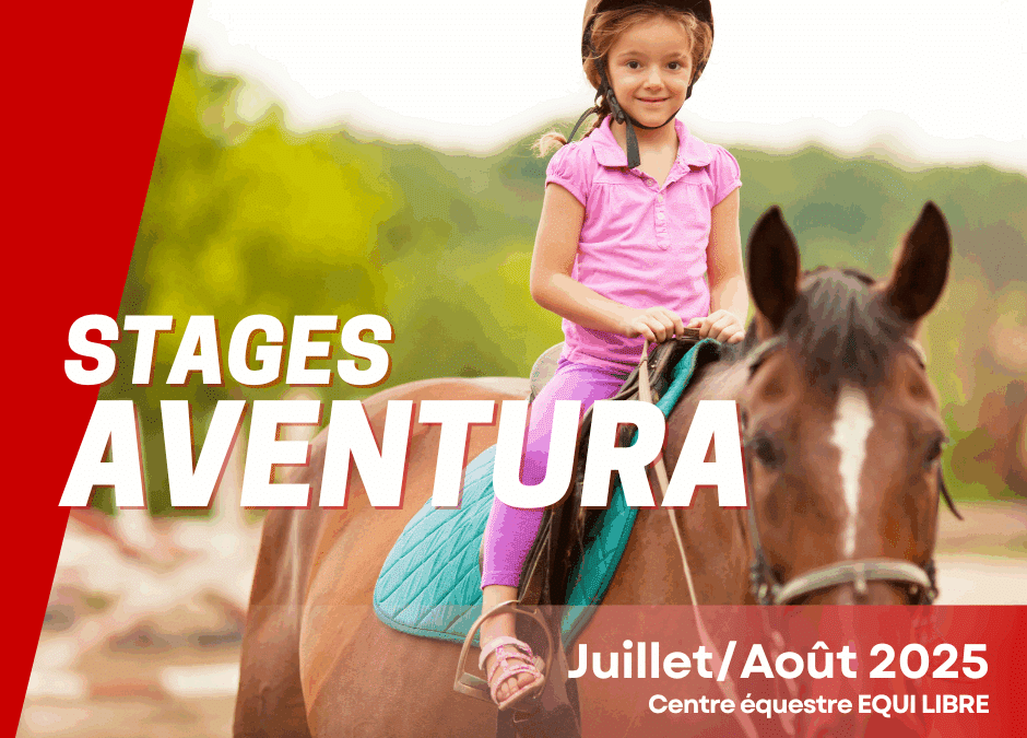 Stages Journée « AVENTURA » (Jeux d’aventure, escape games, etc.)