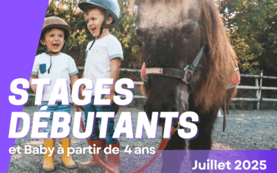 Stages Baby et débutant à partir de 4 ans