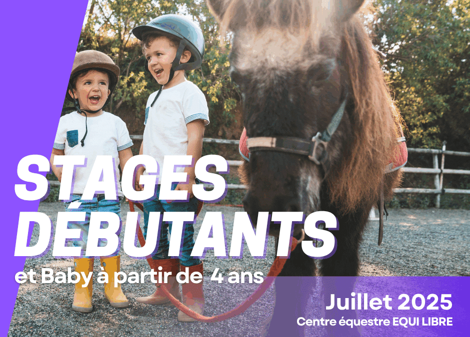 Stages Baby et débutant à partir de 4 ans