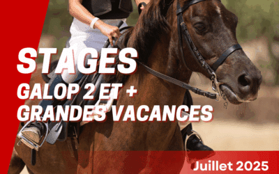 Stages Galop 2 et plus – Grandes Vacances 2025