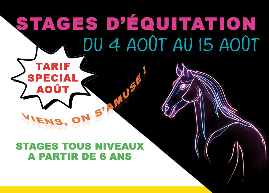 Stages Tous niveaux du mois d’août PROMO