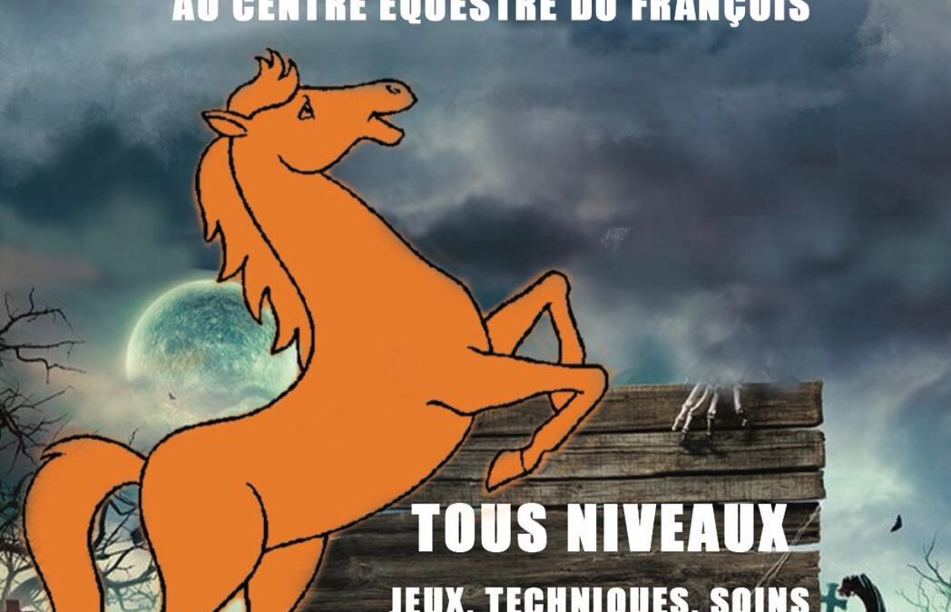 Stages tous niveaux – Toussaint 2025