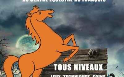Stages tous niveaux – Toussaint 2025