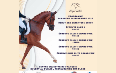 Dressage Tour 1 – 16 novembre 2025