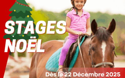 Stages tous niveaux – NOEL 2025