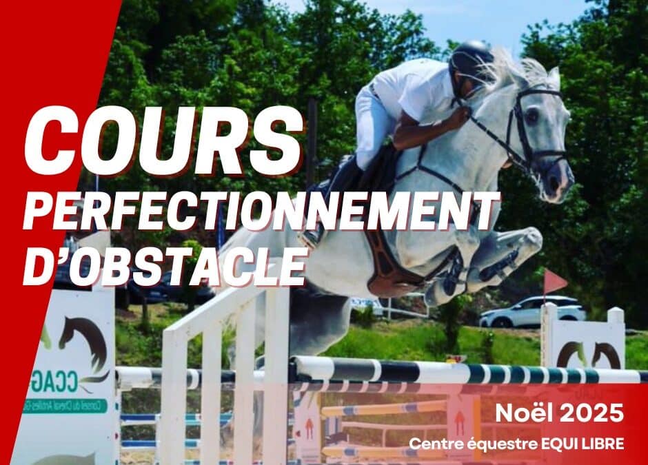 Cours CSO – 2025 Noel