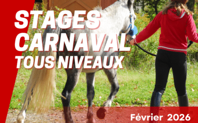 Stages tous niveaux – CARNAVAL 2026