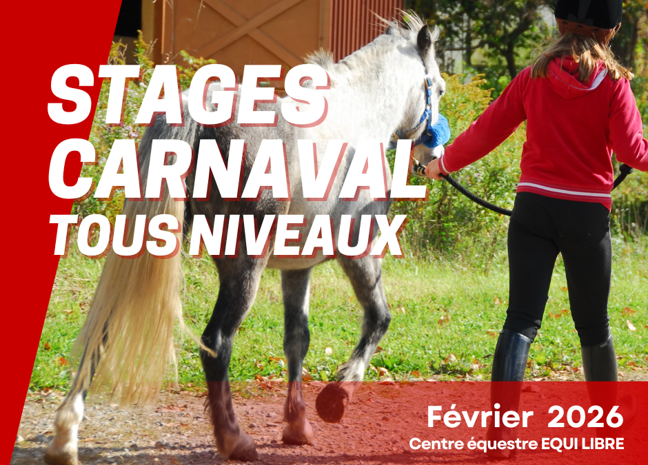 Stages tous niveaux – CARNAVAL 2026
