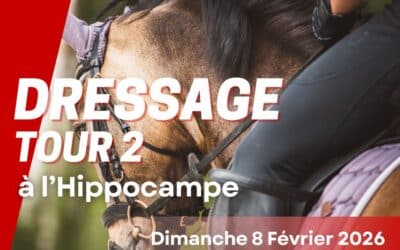 Dressage Tour 2 à l’Hippocampe